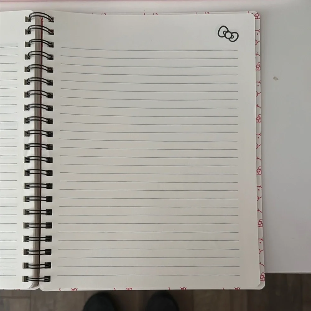 Hello Kitty 2025 12 Month Planner